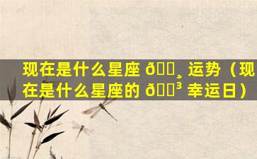 现在是什么星座 🕸 运势（现在是什么星座的 🌳 幸运日）